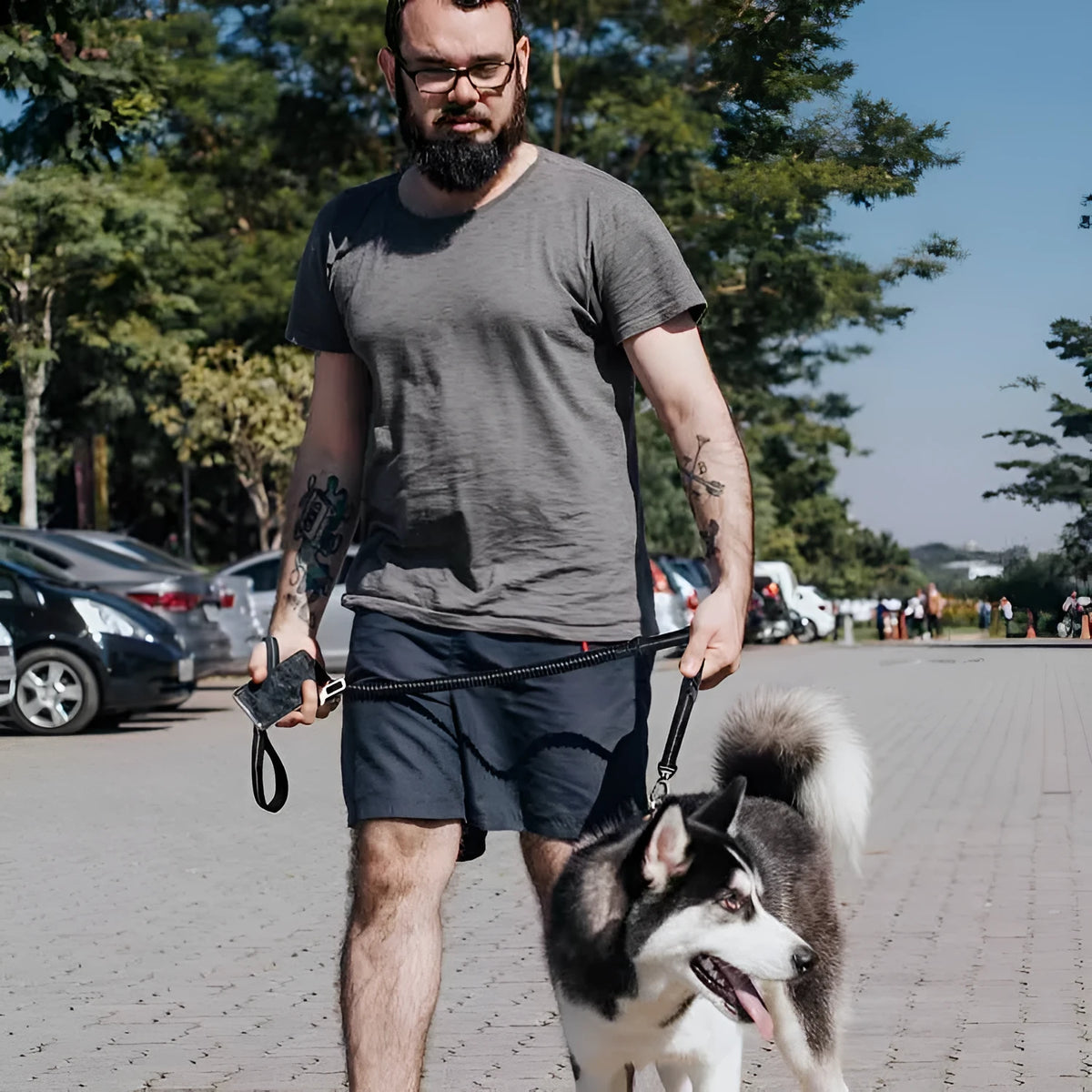 Polyester dog leash with metal hook, hand-holding design, 2.5 x 135cm, on plain background