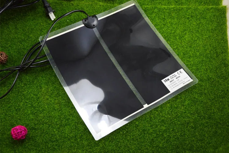 Shi Wang Ant House Kunming-worm heating pad in black with 220V US plug for ant colony winter warmth