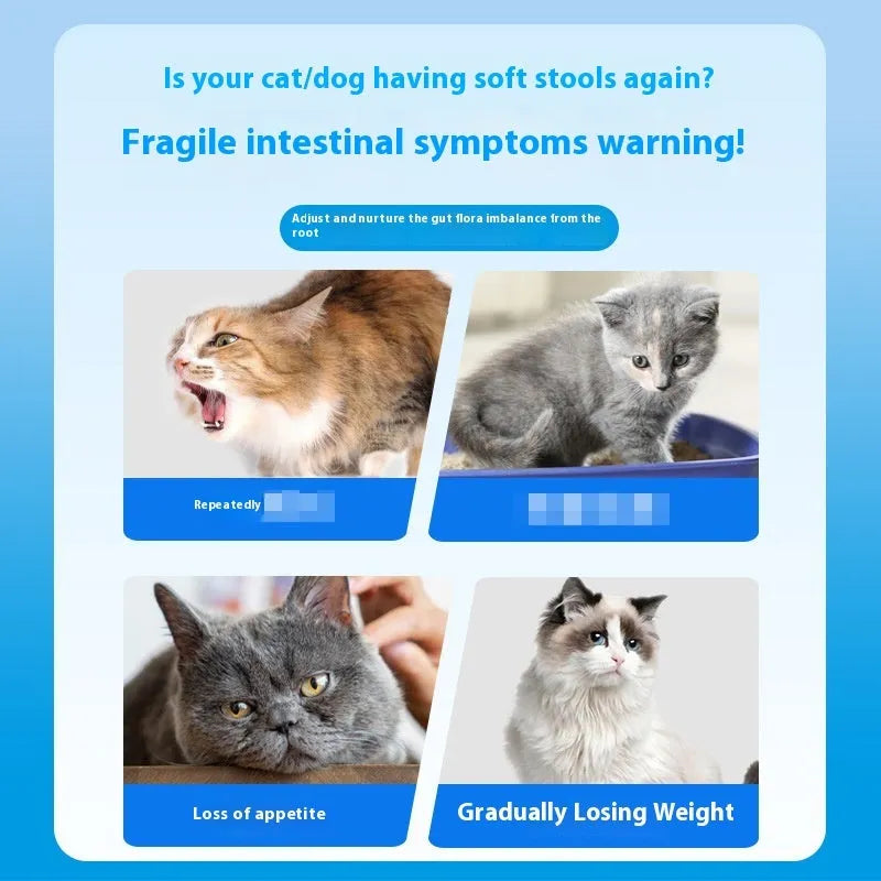 Bottle of 180 pet probiotic tablets for dog and cat digestive support.