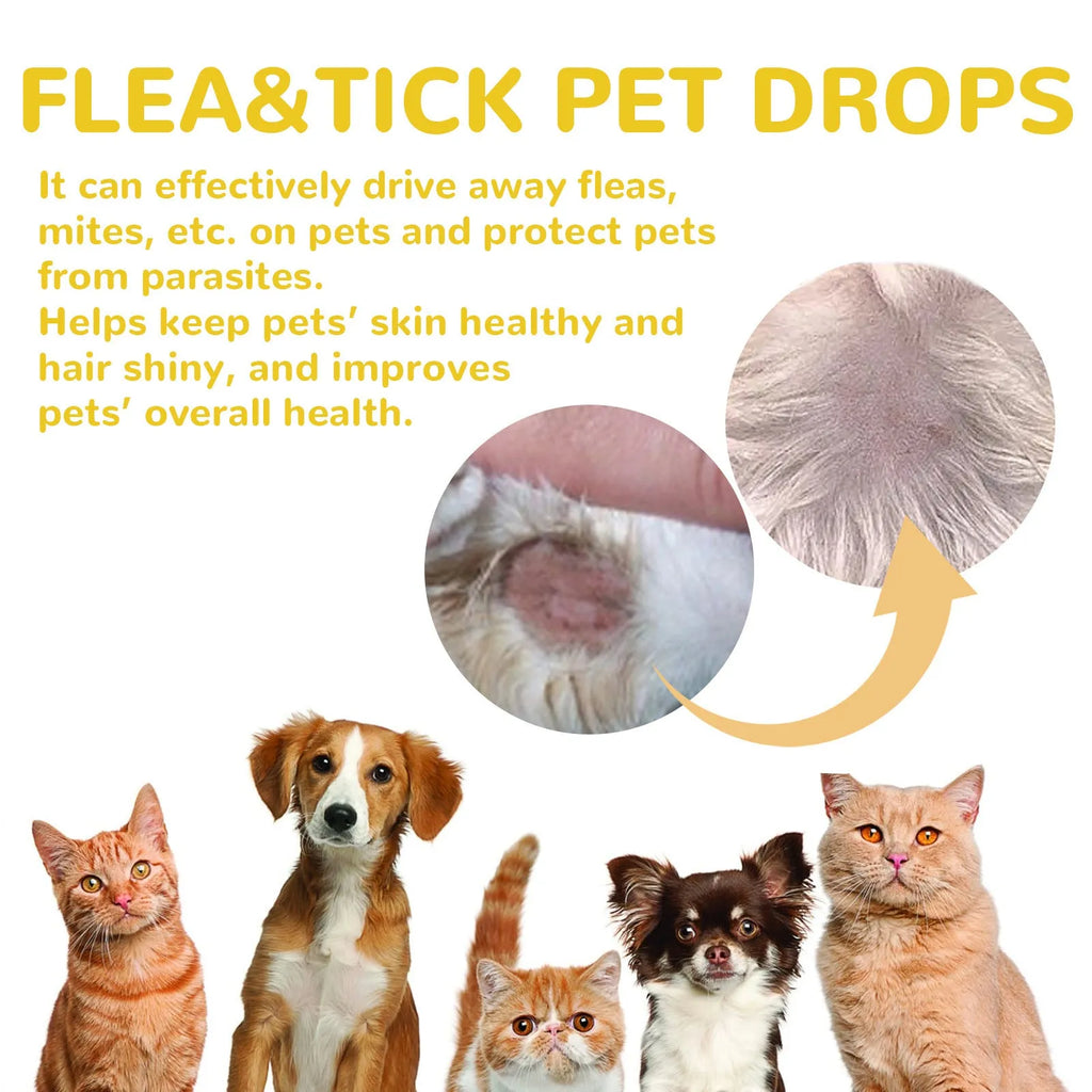 1ml dog flea and tick repellent drops with mugwort and arnica extract in a small vial