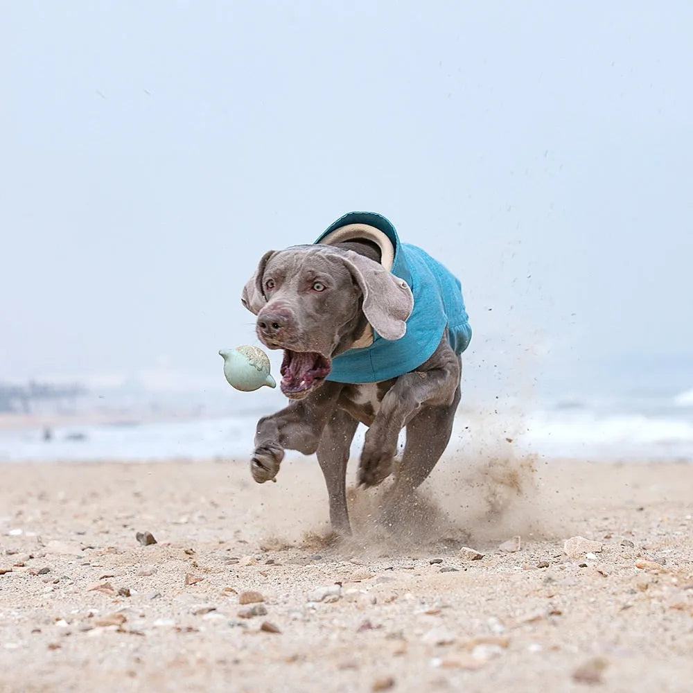 Polyester dog vest for medium and large dogs in rose red, light blue and grey colours