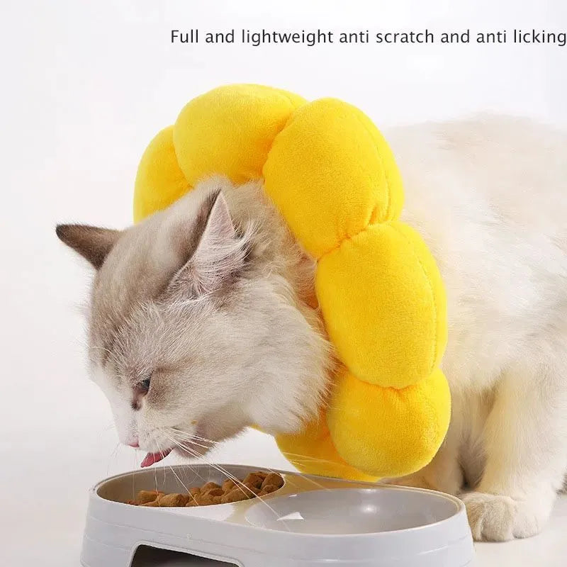 Soft cotton anti-lick recovery collar for a small dog or cat after surgery.