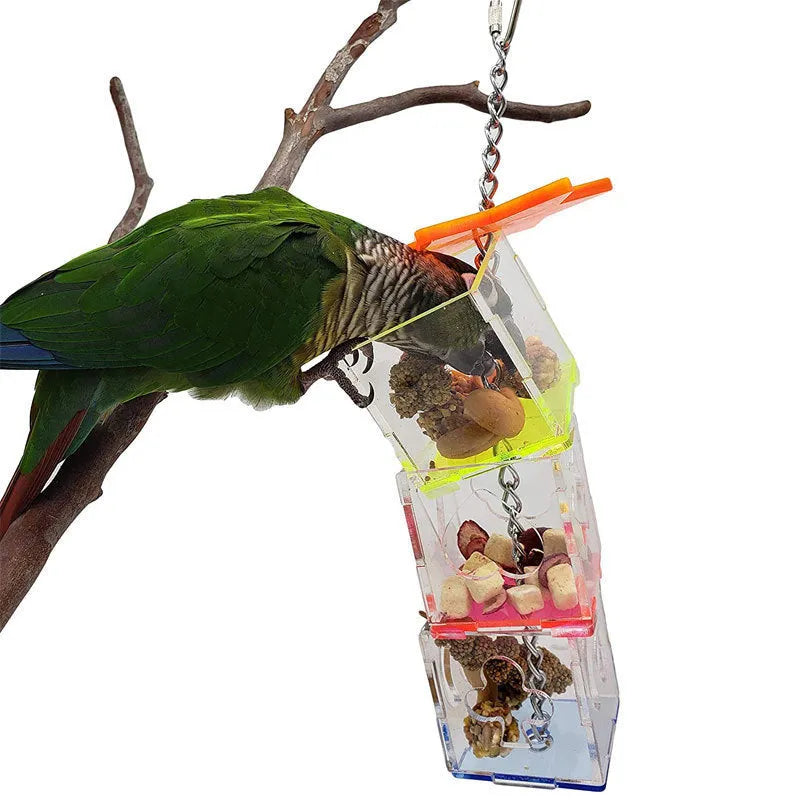 Clear acrylic parrot foraging toy with food container measuring 32cm long