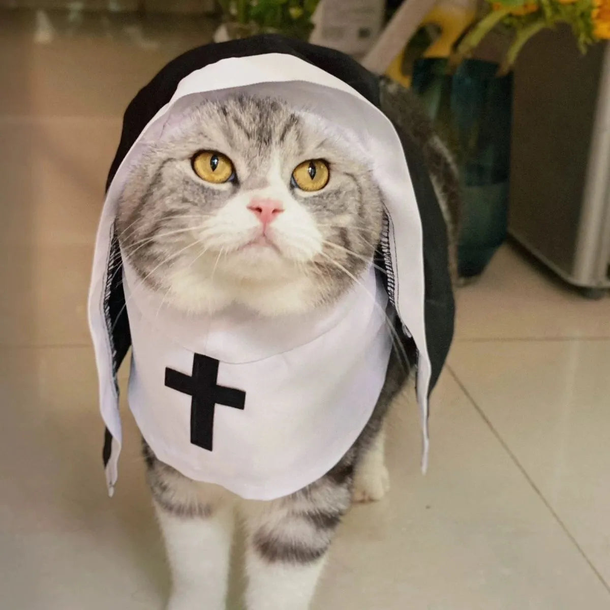 Black and white nun costume for small medium dog with polyester cloak and pullover design
