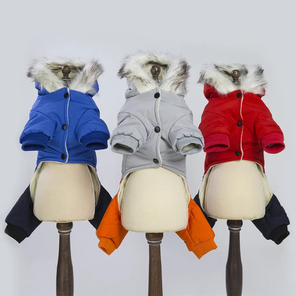 Dog snow coat in blue, grey, and red wool with four-legged back design and cotton lining