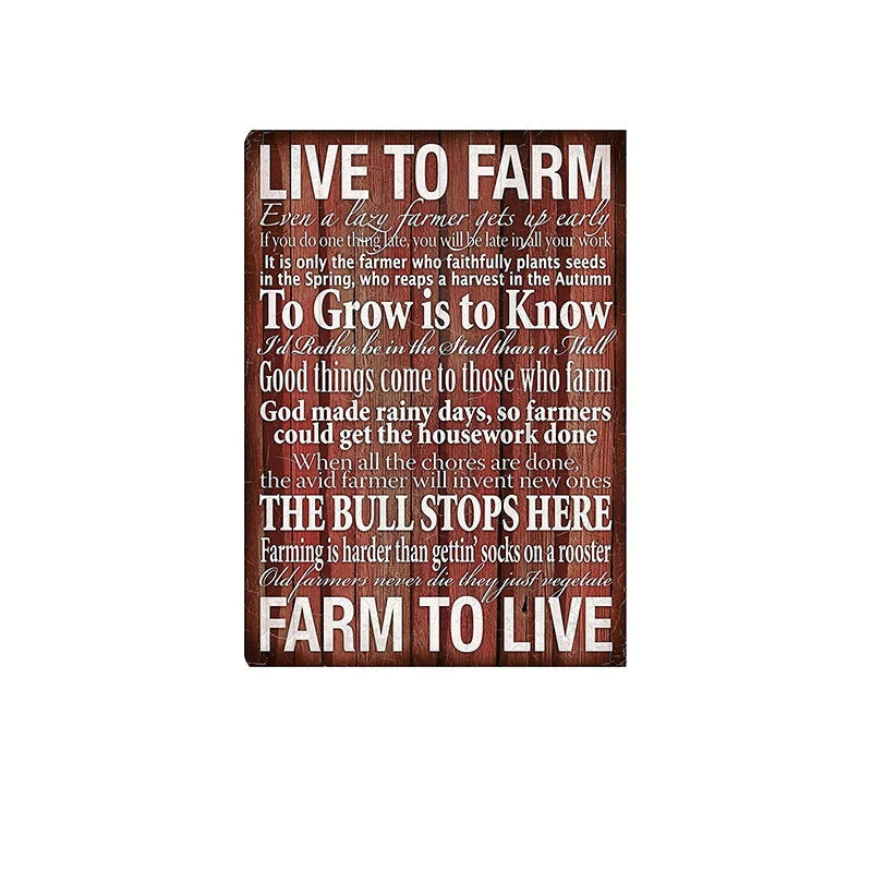 Retro American License Plate Iron Wall Art in metal, 30cm by 20cm