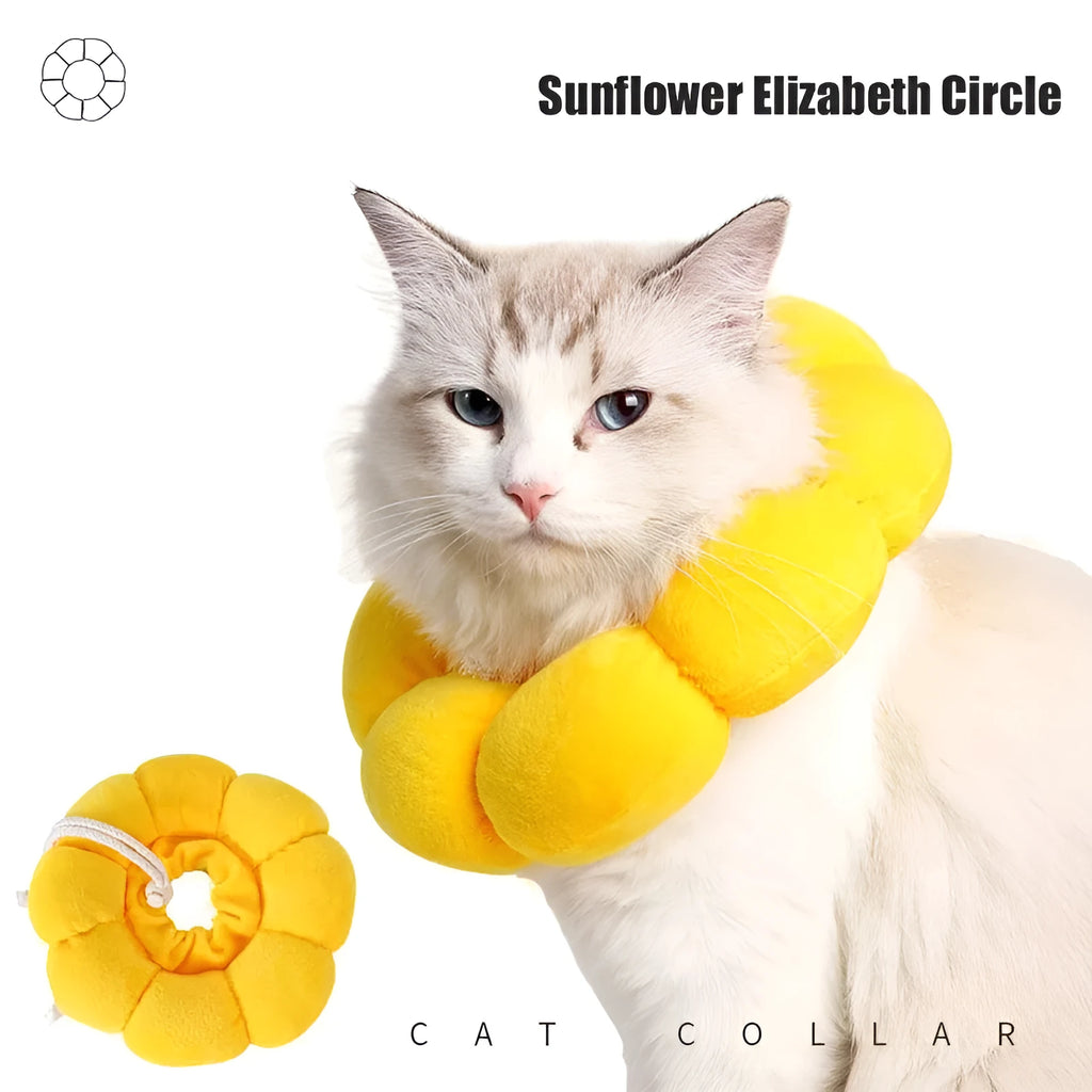 Soft cotton anti-lick recovery collar for a small dog or cat after surgery.