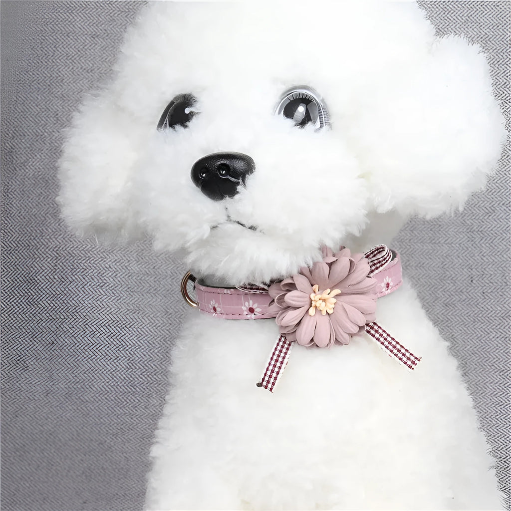 PU flower pet collar in dark pink with adjustable buckle, shown on a small dog