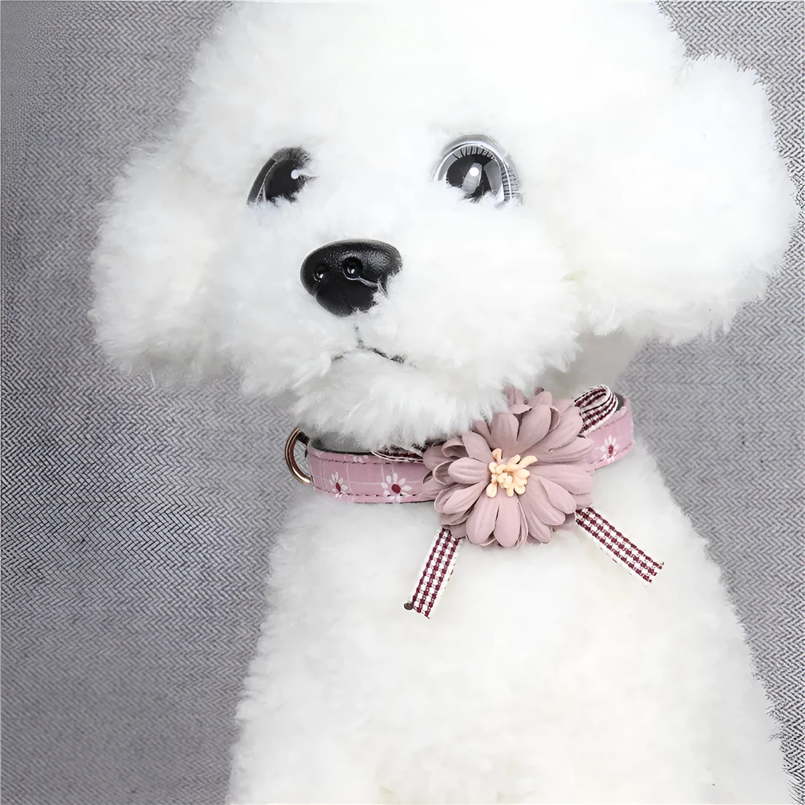 PU flower pet collar in dark pink with adjustable buckle, shown on a small dog