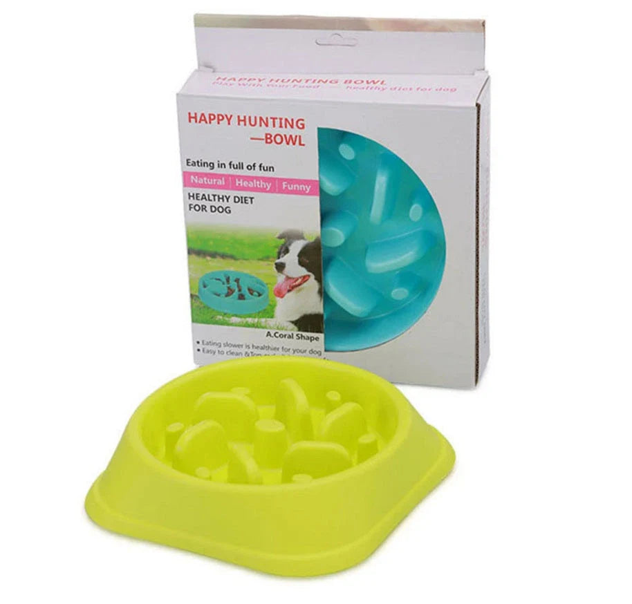 Anti-choke plastic dog bowl in pink, blue, green, and yellow