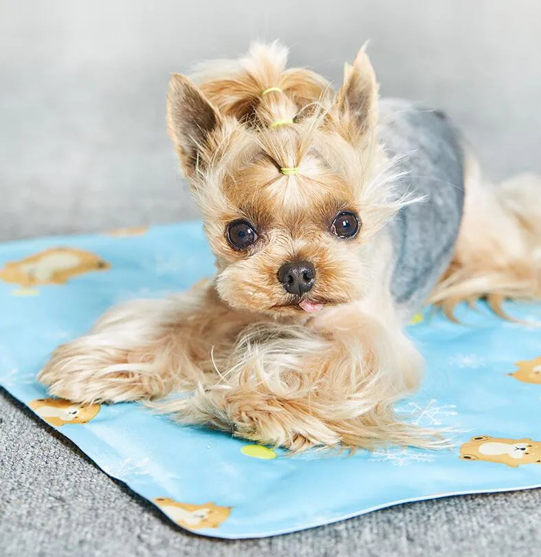 Grey pet cooling mat made of PVC polyester with soft ice gel filling, 30x40cm size, on floor
