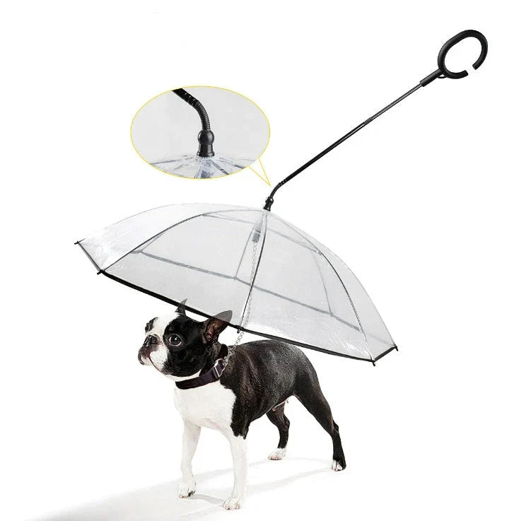 Adjustable transparent pet umbrella with C-type handle for rainy day walks