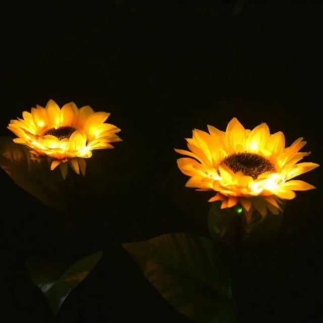 Yellow LED solar sunflower lamp on a lawn with a 66cm stem and 15cm flower head