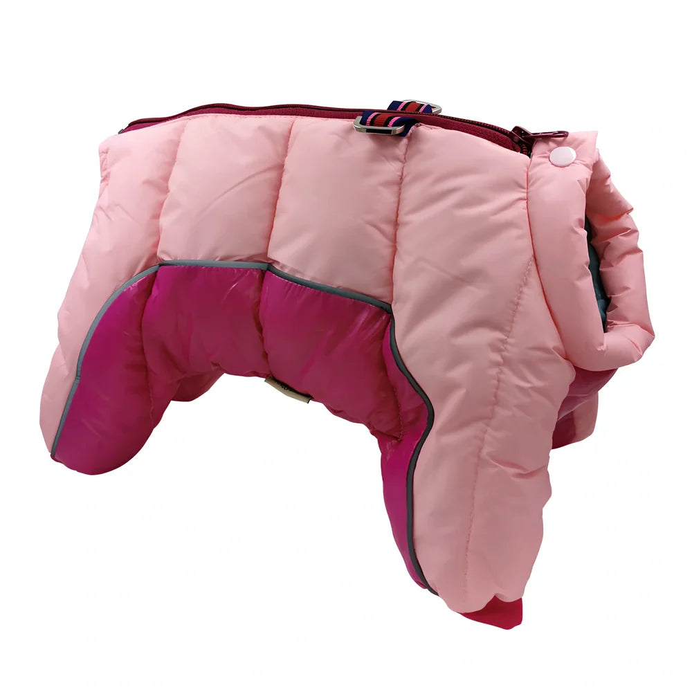 Brown coffee winter cotton jacket on small dog, waterproof thicker coat for puppies in sizes 10-26