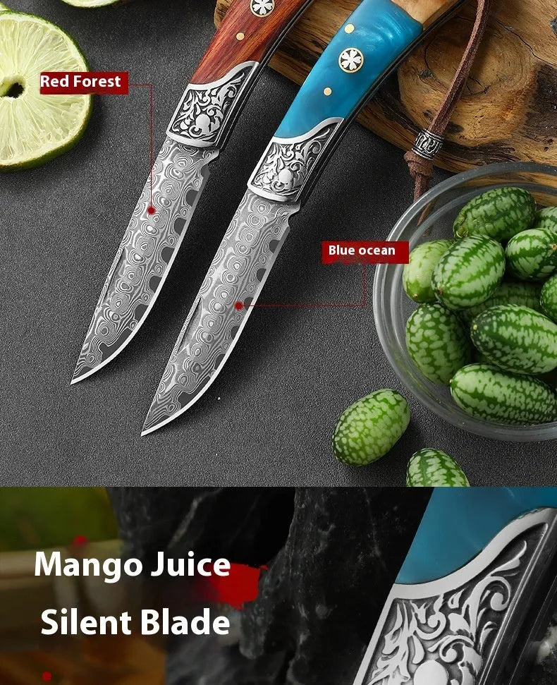 VG10 stainless steel folding knife with national style design in blue or red colour options