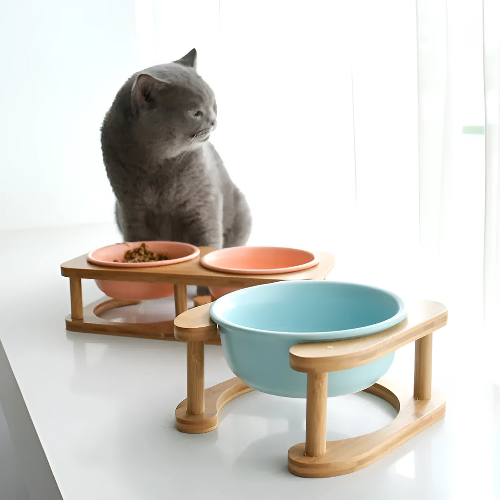 Ceramic cat bowl in white with 14.7cm diameter and 480ml capacity