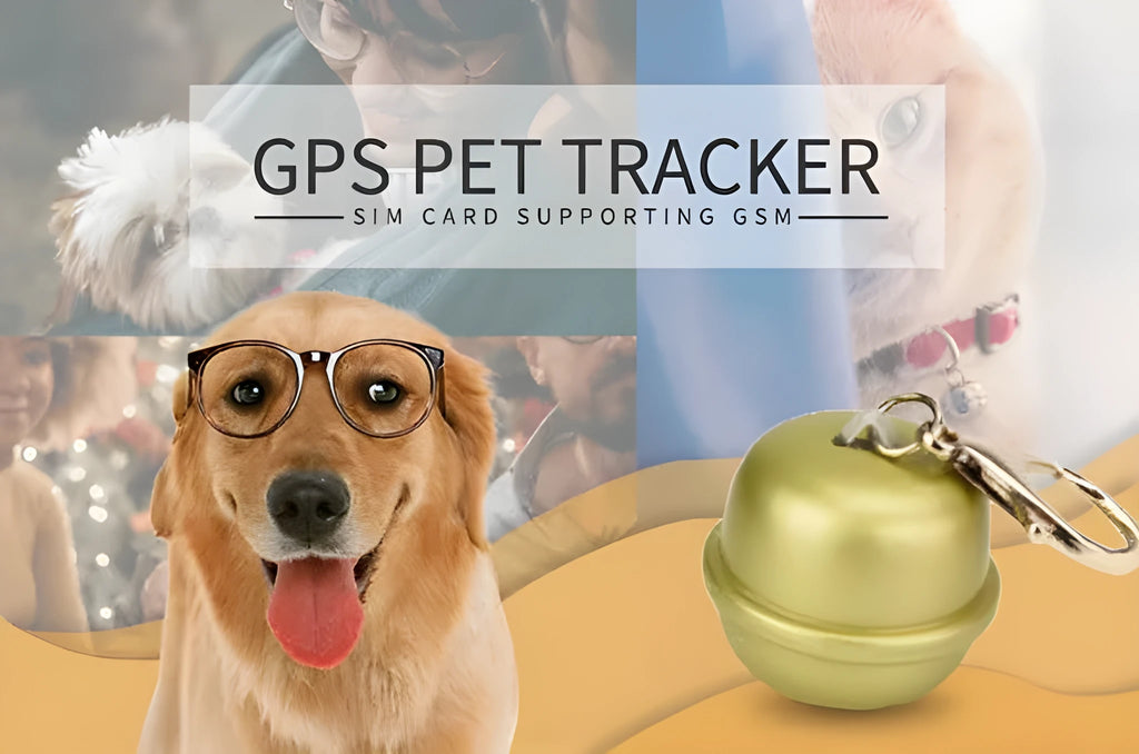GPS pet tracking device attached to dog collar with virtual fence app display showing location monitoring