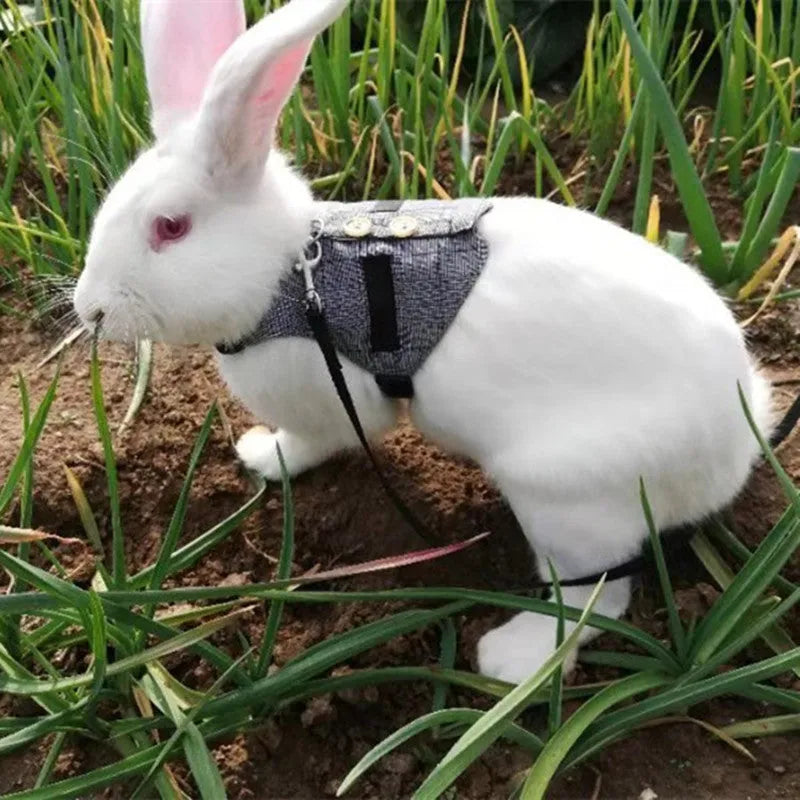 Grey cloth rabbit leash and dress set with chest strap for small pets