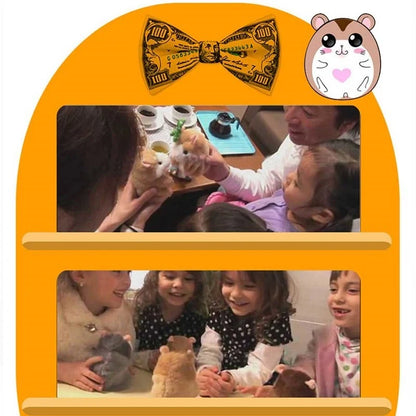 15CM Little Talking Hamster Toy in light brown, dark brown, or grey with voice mimic function
