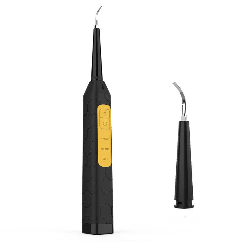 High-frequency vibration tooth cleaner with stainless steel head and USB charging