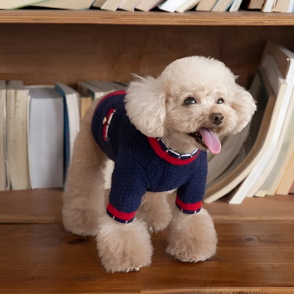 Blue wool pet cardigan with princess collar design shown on a dog model