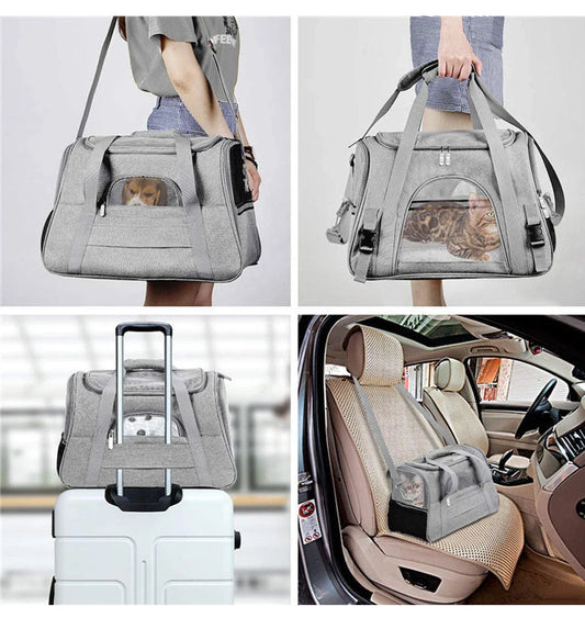 Portable pet backpack carrier in various colors, suitable for cats and small dogs up to 10kg