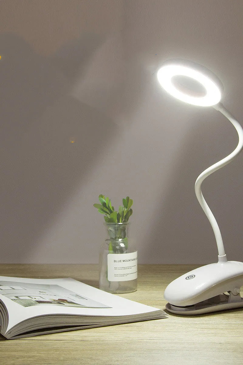 Clip-on rechargeable desk lamp with touch control and LED light source