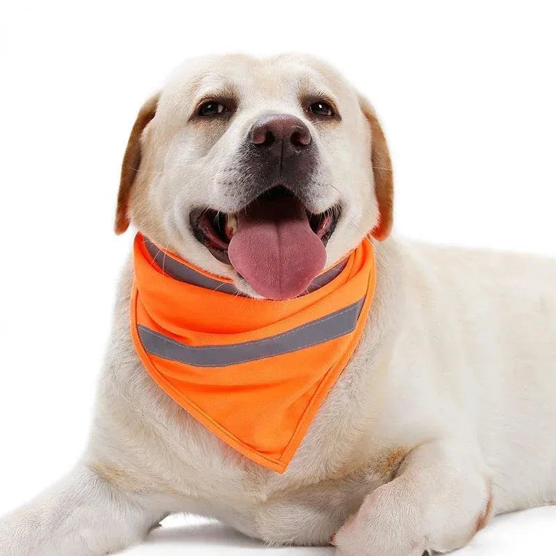 Yellow and orange reflective striped dog bandana with adhesive strap, shown on a dog's neck.
