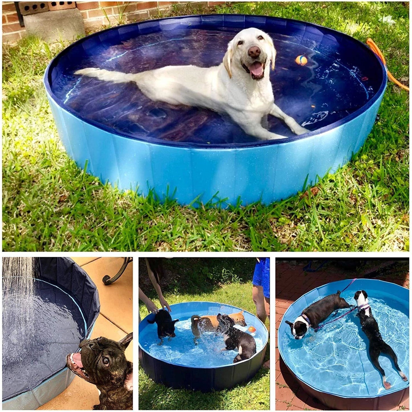 Collapsible dog pool in blue water pattern and red sea wave designs, perfect for pets and kids