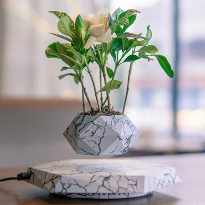 Levitating Plant Pot with marble design floating in air using magnetic technology