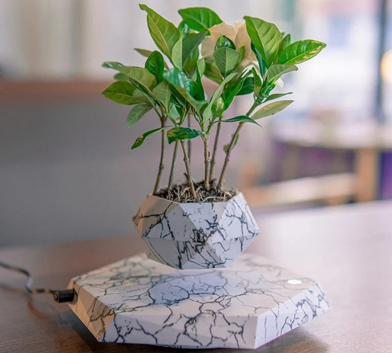 Levitating Plant Pot with marble design floating in air using magnetic technology