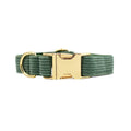 Corduroy texture dog collar in various colours with adjustable buckle closure