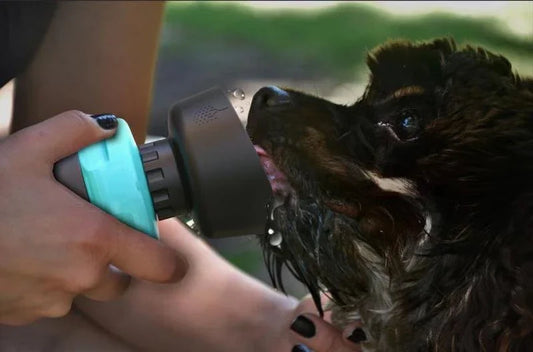 Foldable pet water bottle with integrated bowl for convenient on-the-go hydration