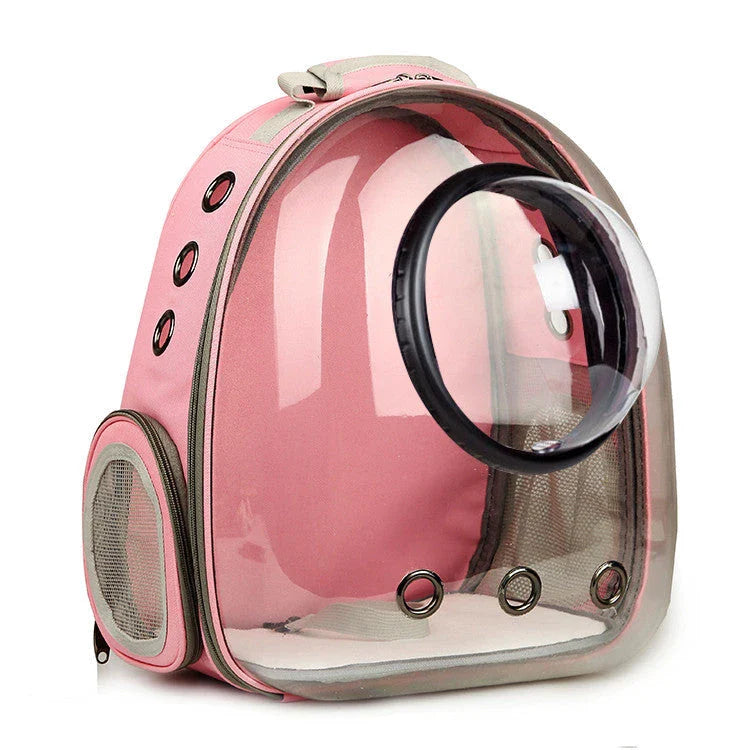 Premium pet carrier with transparent design and breathable mesh panels for Kiwi cat owners