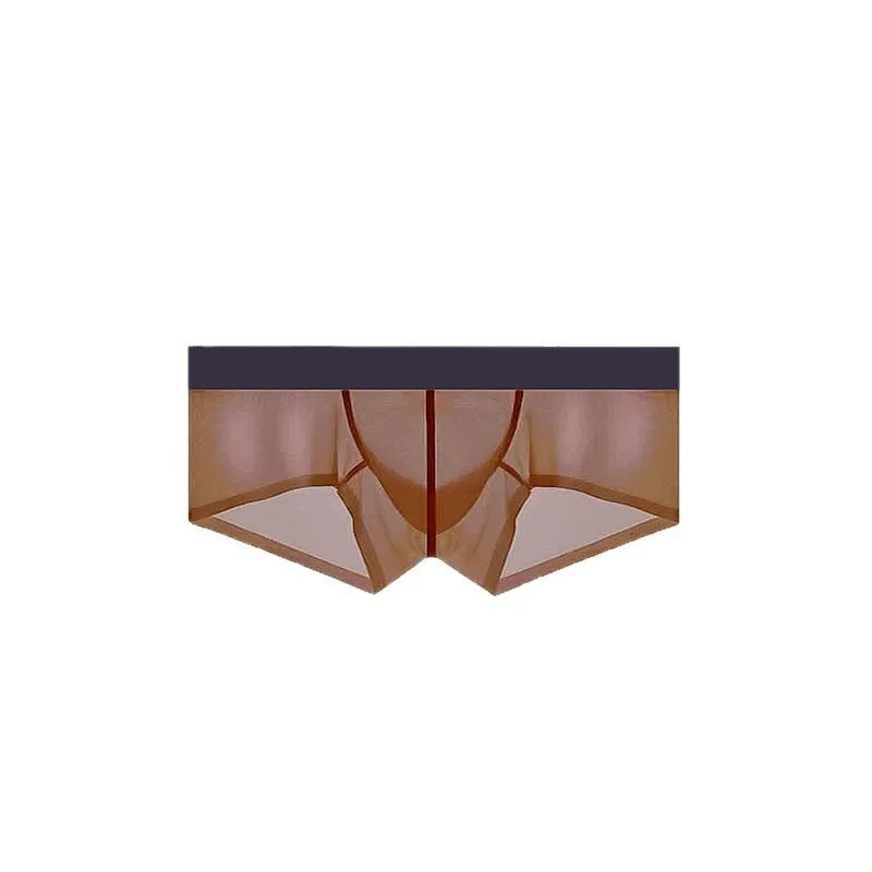 Men's ice silk seamless low waist underwear in chocolate colour showing seamless construction