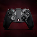 Black Gaishi chicken handle wired game controller with type-C cable