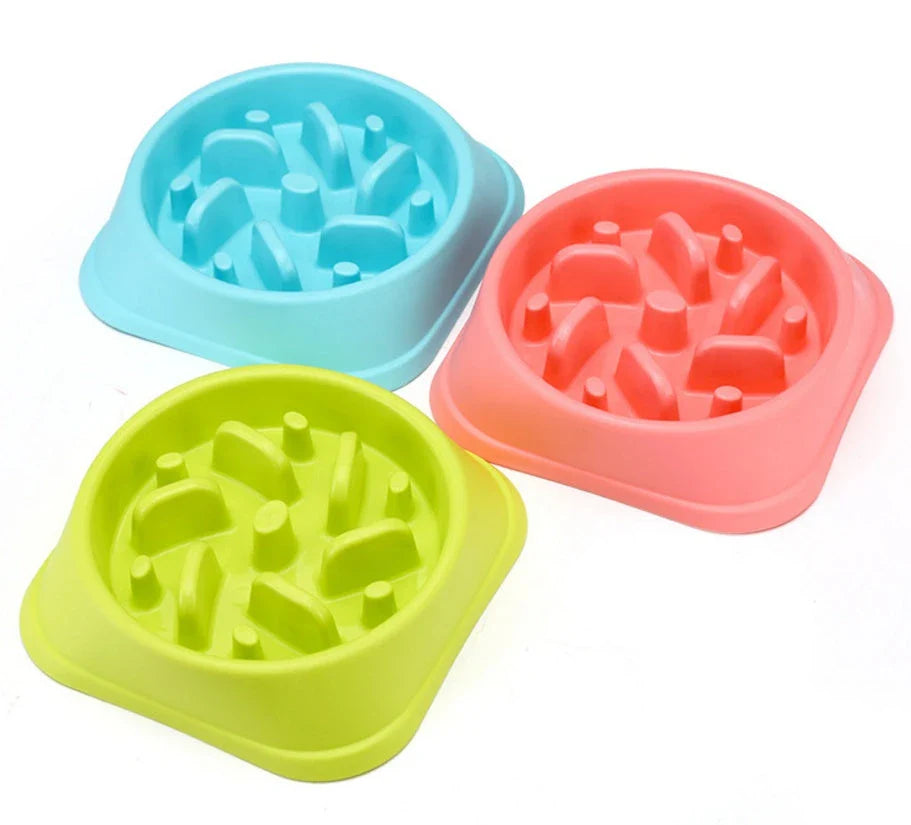 Spill-Proof Pet Bowl in multiple vibrant colors with ergonomic design for comfortable and mess-free pet feeding