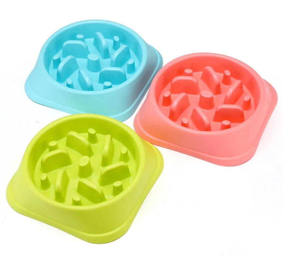 Anti-choke plastic dog bowl in pink, blue, green, and yellow
