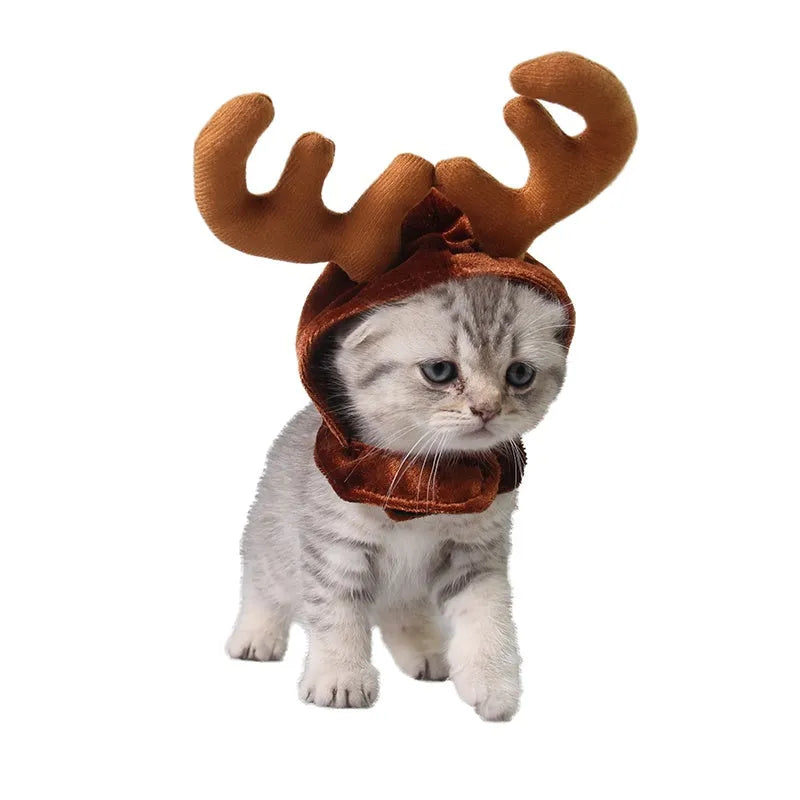 Brown Christmas deer hat with antlers on a cat or small dog
