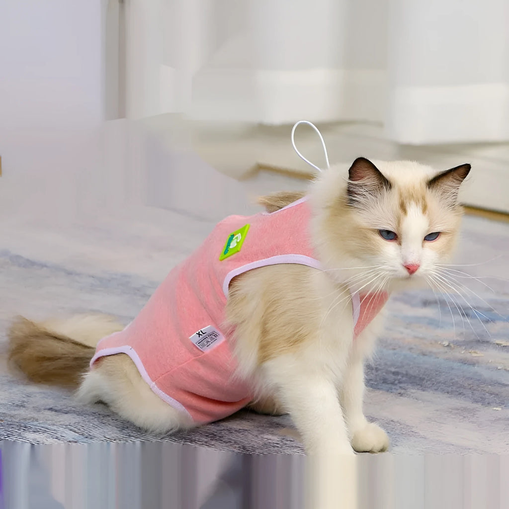 Blue cotton pet sterilization suit with adjustable scarf for dogs and cats