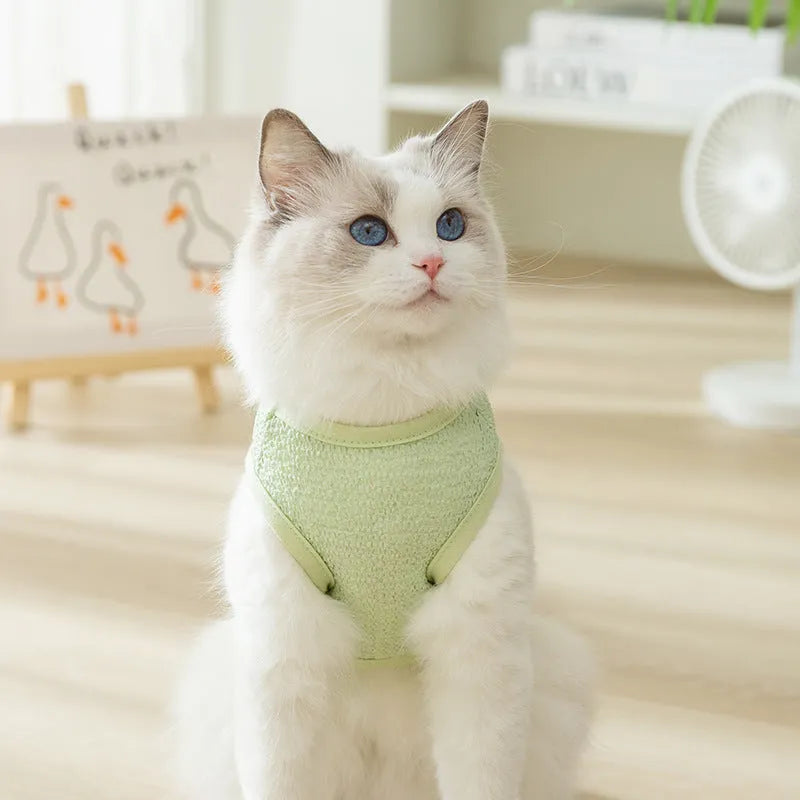 Green knitted cat clothing with a hollowed-out cartoon bear patch design