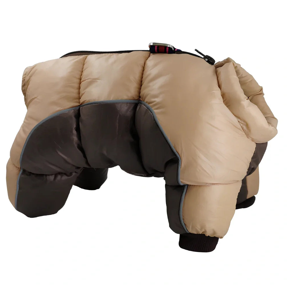 Brown coffee winter cotton jacket on small dog, waterproof thicker coat for puppies in sizes 10-26