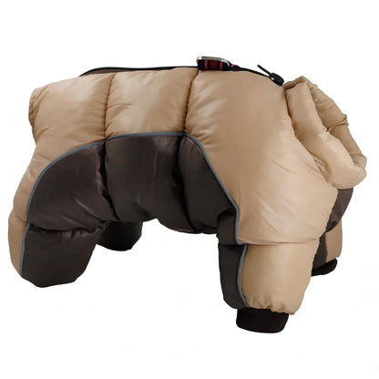 Brown coffee winter cotton jacket on small dog, waterproof thicker coat for puppies in sizes 10-26