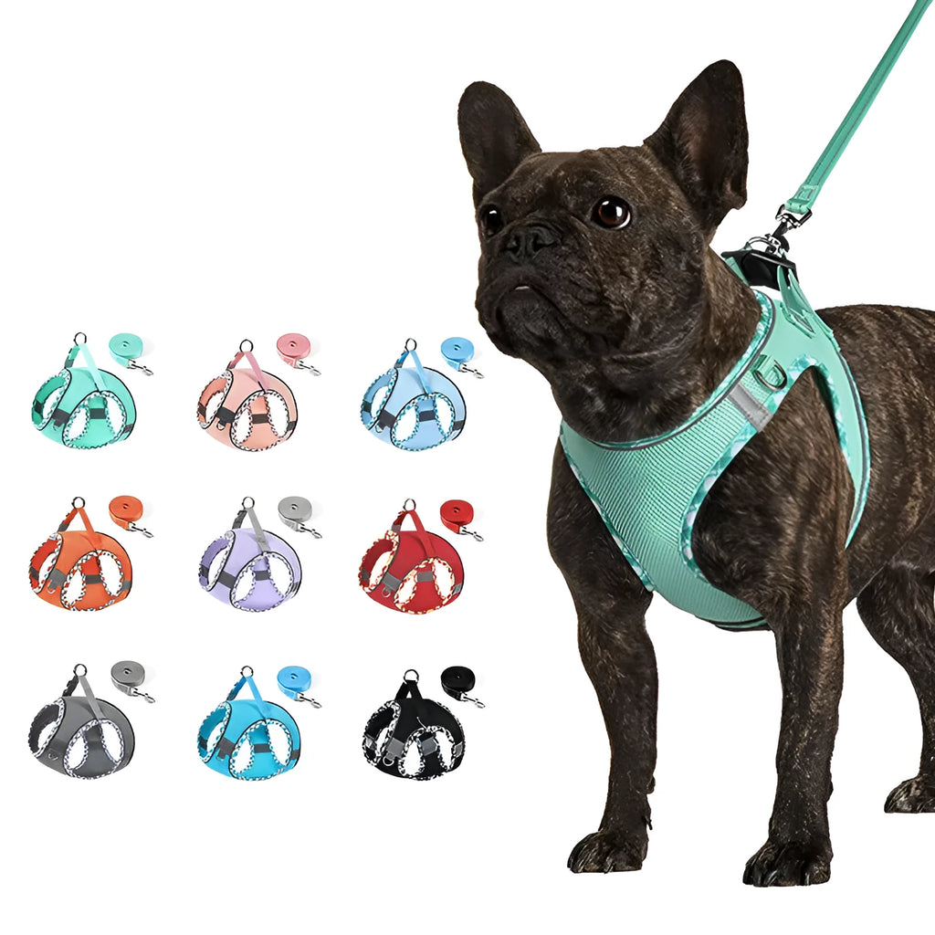 No-pull step in dog harness with breathable mesh and reflective strips, includes 1.2m leash, on a small dog