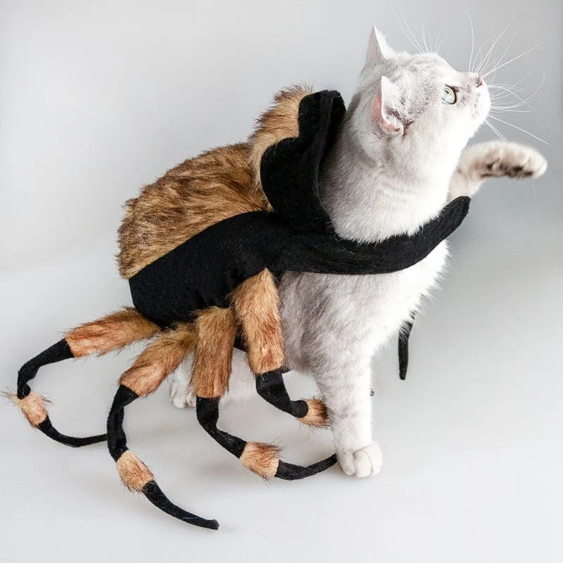 Black spider costume for pets with 8 legs and adjustable straps
