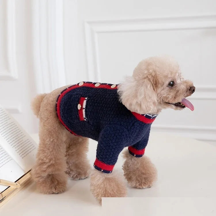 Blue wool pet cardigan with princess collar design shown on a dog model