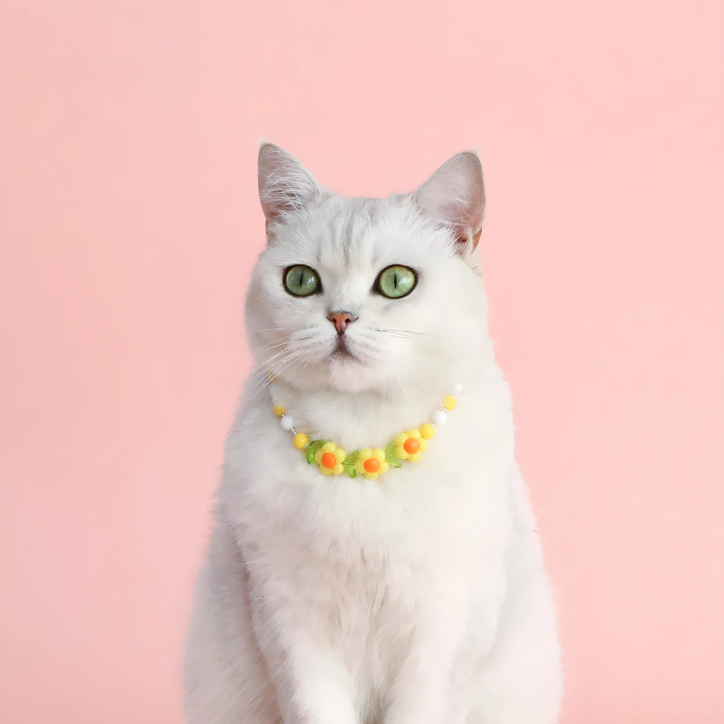 Colourful plastic bead necklace for cats in peach, rainbow, or small flower patterns with adjustable XS or S sizing