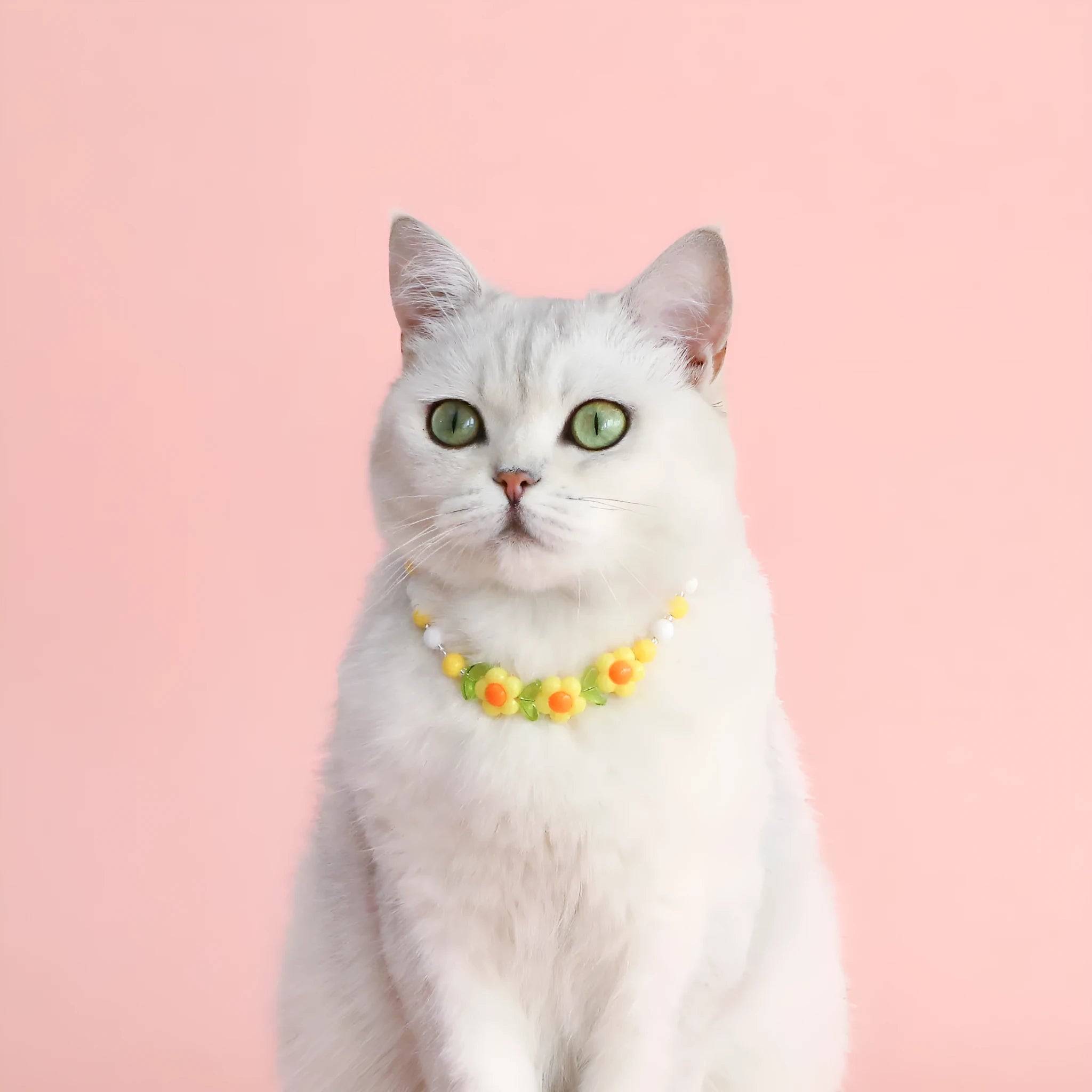 Colourful plastic bead necklace for cats in peach, rainbow, or small flower patterns with adjustable XS or S sizing