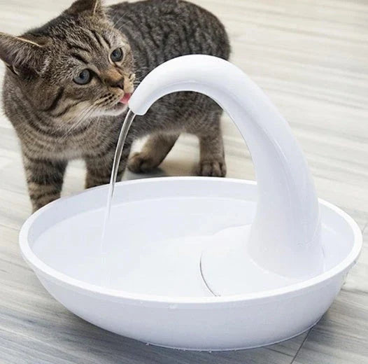 Automatic cat water dispenser with self-cleaning filtration system for convenient and healthy hydration