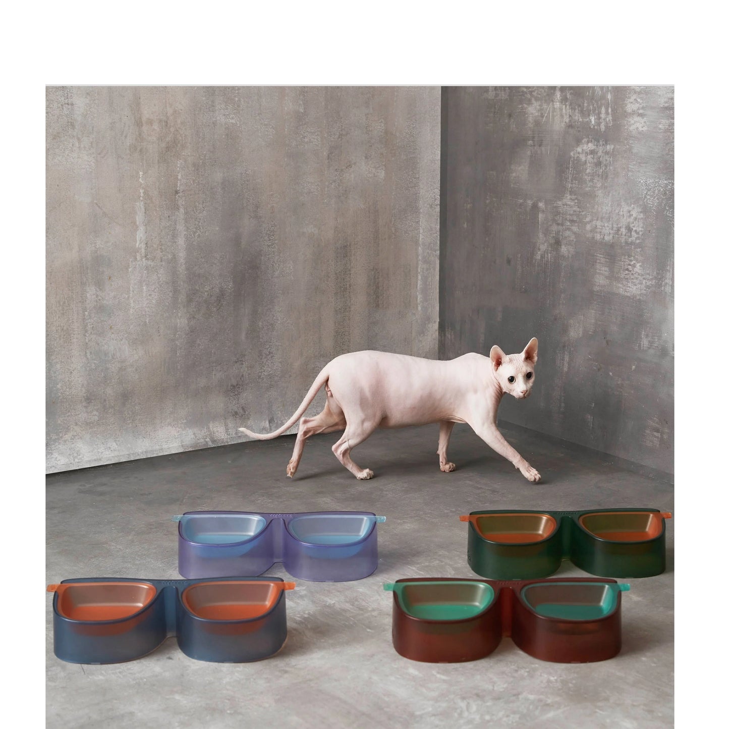 Anti-overturning double bowl for cats with 15° slant design in green, blue, purple, and red